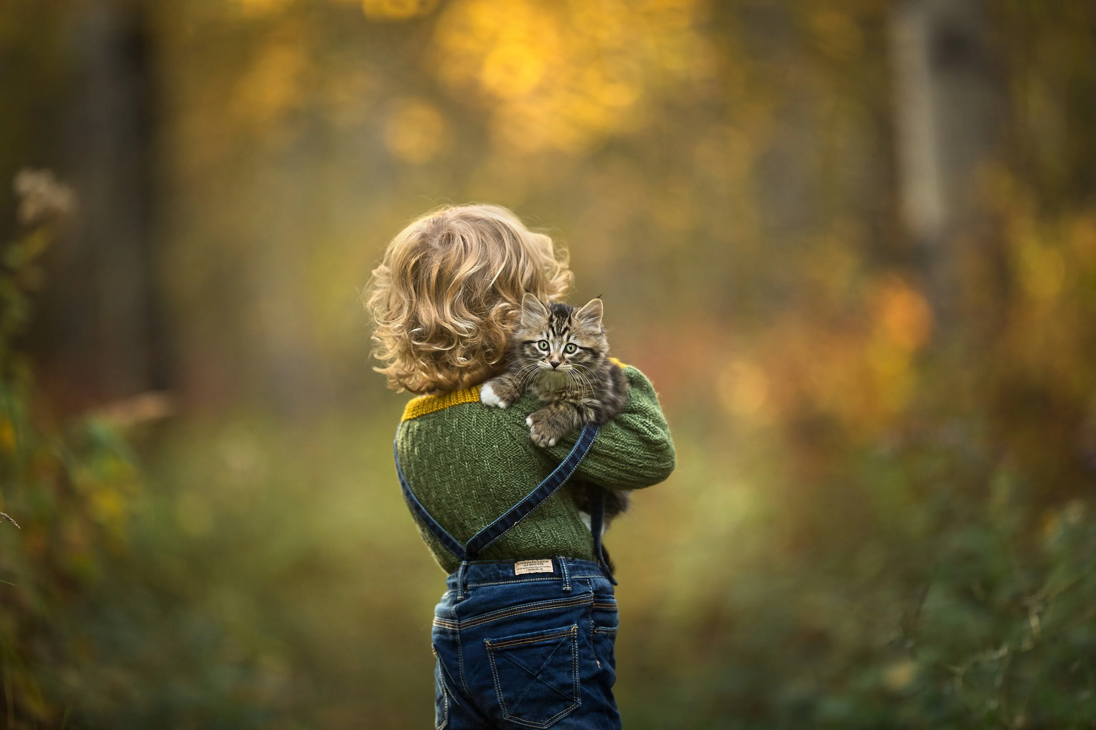 Caterpillar Sweater